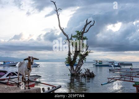 Bunaken Island, Taman National Bunaken, Manado Tua Island, Nord-Sulawesi, Indonesien Stockfoto