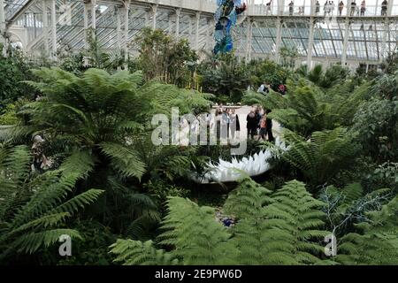 LONDON - 2019: Innenansicht des gemäßigten Hauses im Kew Royal Botanic Gardens in London Stockfoto