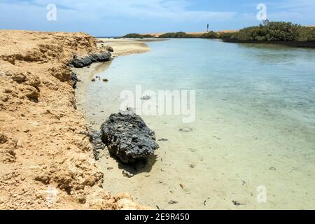 Mangrovenkanal Avioennia Marina Küste Küste. Wald im Ras Mohammed National Park. Sharm el Sheikh, Sinai Halbinsel, Ägypten. Stockfoto