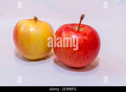 Zwei rote und gelbe Äpfel auf weißem Hintergrund Stockfoto