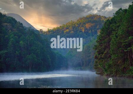 Kiefernwald im Tal und Wasser im Pang Ung Reservoir, Mae Hong Son, Thailand, am Morgen schwimmt Nebel auf der Wasseroberfläche, ruhig und kühl ein Stockfoto