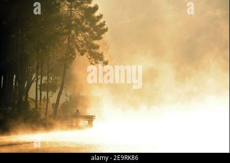 Kiefernwald im Tal und Wasser im Pang Ung Reservoir, Mae Hong Son Provinz, Thailand, am Morgen spritzte ein goldenes Licht auf das Wasser. IT-cr Stockfoto