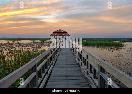 Der Holzweg führt zum roten Pavillon am Lotusteich im Sam ROI Yot Nationalpark. Am Abend ist der Himmel in Prachuap Khiri Khan Pro Dämmerung Stockfoto