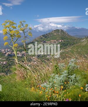 Taormina - der Weg zu den Frühling mediterranen Blumen und der Mt. Vulkan Ätna. Stockfoto