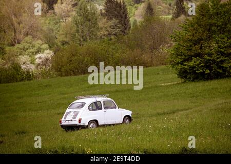 Ein altes weißes Auto in der Mitte eines Grüns Wiese abgemähtes Stockfoto