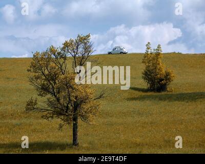 Ein altes weißes Auto inmitten einer grünen Wiese mit einem bewölkten Himmel im Hintergrund. Stockfoto