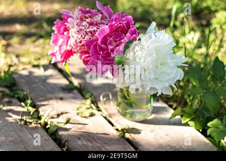Ein Bouquet von großen weißen und rosa Pfingstrosen in einem Glas auf einer Holzbrücke im Garten. Blüte. Stockfoto