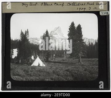 My Tent O'Hara Camp YORYM TA2372. Stockfoto