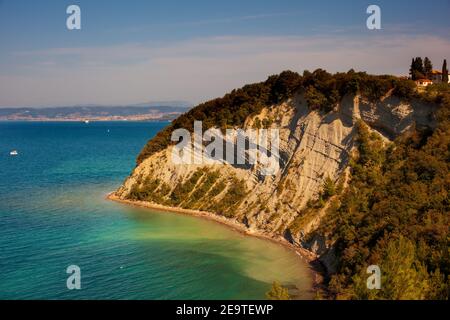 Blick auf die Moon Bay, den berühmten Strand in der Steilküste von Strunjan an der Küste Sloweniens. Stockfoto