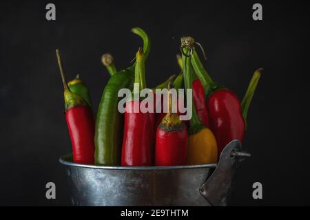 Rote Chilischoten in einem Eimer auf altem Holzhintergrund. Hintergrund für das Essen. Stockfoto