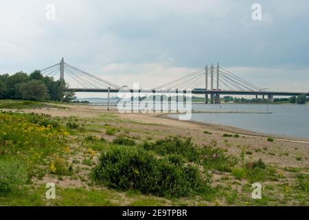 Ewijk Niederlande - 3. Juli 2020 - Hochwassergebiete (uiterwaarden) Des Flusses Waal bei Ewijk in den Niederlanden Stockfoto