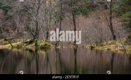 Schönes Landschaftsbild von Torren Lochan in Glencoe in Schottland Highlands an einem Wintertag Stockfoto