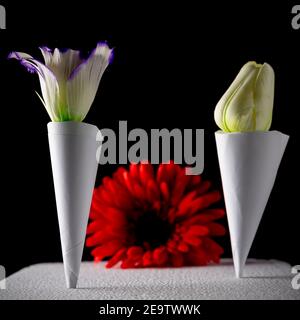 Zwei Papierkegel mit Blumen innen und einer roten Blume Im Hintergrund Stockfoto