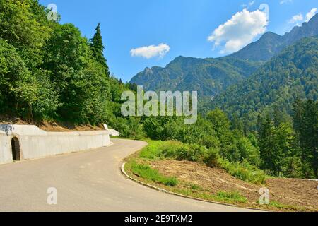 Die Sommerlandschaft in der Nähe des Sella Cereschiatis Gebirgspass in der Provinz Udine, Friaul-Julisch Venetien, Nordostitalien Stockfoto