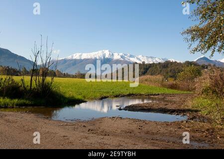 Herbstlandschaft von grünen Feldern mit schneebedeckten Gipfeln der Alpen in Colico Stadt auf dem Weg zum Forte di Fuentes, Norditalien. Stockfoto