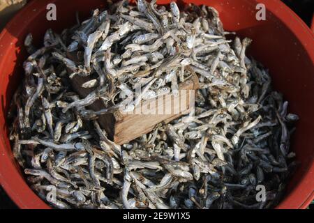 Getrocknete Sardellen in rotem Kunststoffbecken zum Verkauf im Freien Markt Stockfoto