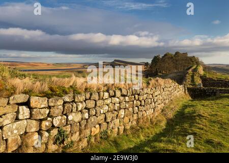 Blick nach Osten aus der Nähe von Milecastle 37 auf Housesteads Crags, in Richtung Housesteads und Sewingshields Crags, Hadrian's Wall, Northumberland Stockfoto