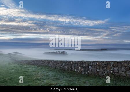 Niedrig liegender, frühmorgendlicher Nebel bei Cawfield Crags, Hadrian's Wall, Northumberland, Großbritannien Stockfoto