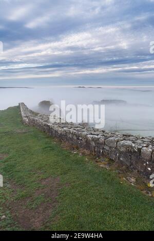 Niedrig liegender, frühmorgendlicher Nebel bei Cawfield Crags, Hadrian's Wall, Northumberland, Großbritannien Stockfoto