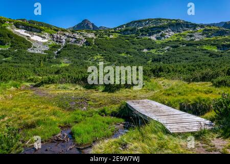 Bergbach am rila Gebirge in Bulgarien Stockfoto