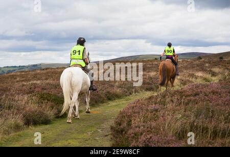 SHROPSHIRE, Großbritannien - 08. September 2013. Zwei Personen Pony Trekking auf Long Mynd, Shropshire Hills, Großbritannien Stockfoto