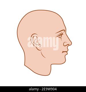 Handgezeichnetes Modell des menschlichen Kopfes in der Seitenansicht. Farbige flache Vektorzeichnung isoliert auf weißem Hintergrund. EPS 8. Stock Vektor