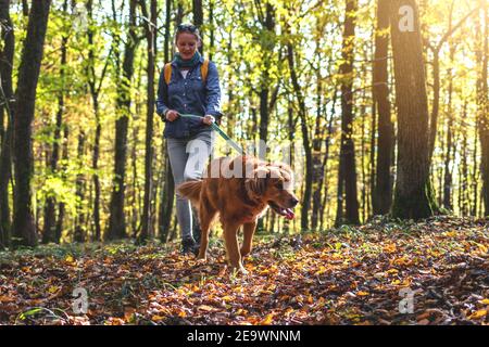 Glückliche Frau, die mit ihrem Hund im Freien läuft. Wandern mit Retriever im Herbstwald. Weibliche Haustier-Besitzer in der Natur Stockfoto