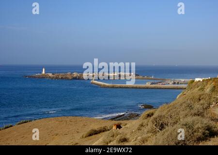 Blick auf den Hafen von Tarifa von den Klippen nördlich der Stadt. Tarifa, Provinz Cadiz, Andalusien, Spanien Stockfoto