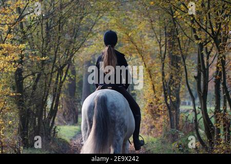 Mädchen reiten ein Pferd, hacking out im Herbst Wald Stockfoto