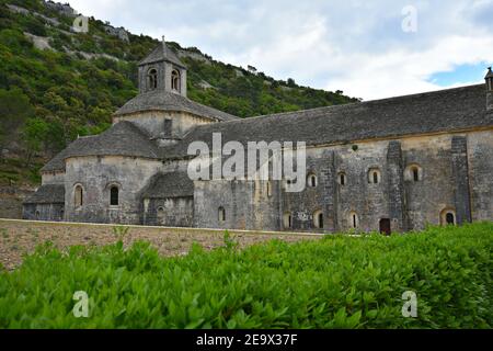 Panoramablick auf die Abtei Sénanque und ihre Umgebung, eine Zisterziensergemeinde in der Nähe des historischen Dorfes Gordes in Vaucluse Provence Frankreich. Stockfoto