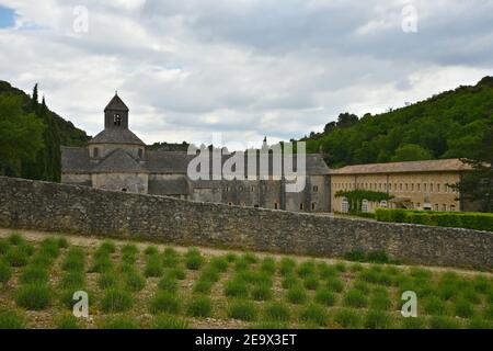 Panoramablick auf die Abtei Sénanque und ihre Umgebung, eine Zisterziensergemeinde in der Nähe des historischen Dorfes Gordes in Vaucluse Provence Frankreich. Stockfoto