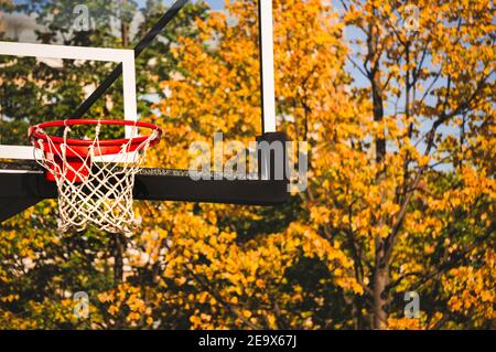 Basketballkorb mit Netz und transparentem Brett im Herbstpark Stockfoto