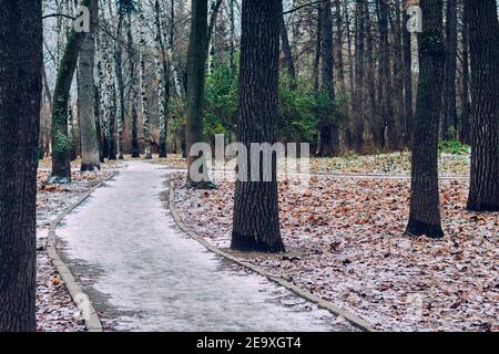 Herbst Stadtpark mit gefallenen Blättern mit Schnee bedeckt, Gehwege zum Wandern, der Beginn des Winters. Stockfoto