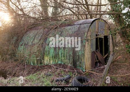 Februar 2021 - Nissen Hütte im Wald in Somerset, England, UK Stockfoto