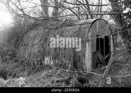 Februar 2021 - Nissen Hütte im Wald in Somerset, England, UK Stockfoto