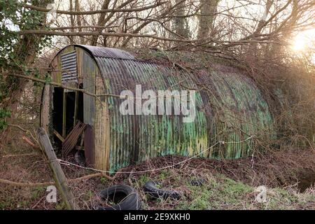 Februar 2021 - Nissen Hütte im Wald in Somerset, England, UK Stockfoto