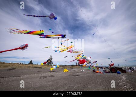 Wellington, Neuseeland. Februar 2021, 6th. Leute fliegen Drachen während des Otaki Kite Festivals 9th, das am Strand von Otaki, Neuseeland, am 6. Februar 2021 stattfand. Hunderte von bunten Drachen flogen am Samstag in den Himmel von Wellingtons Otaki Beach. Diese Drachen wurden von lokalen Designern auf Initiative des China Cultural Center in Wellington gemacht, das das dritte Jahr in Folge an diesem Festival teilnahm und große Aufmerksamkeit und Zuneigung von den Zuschauern erregte. Quelle: Zhang Jianyong/Xinhua/Alamy Live News Stockfoto