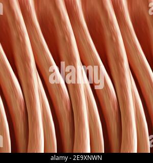 Farbe gestreiften Hintergrund, Stoff mit Falten, Design-Vorlage für Stoff Broschüre, Katalog, Poster, Buch, Magazin. eps 10 Stockfoto