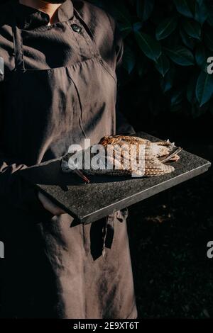 Crop anonyme kochen in Schürze Trage Tablett mit toten Vogel Zum Kochen Delikatessengericht Stockfoto