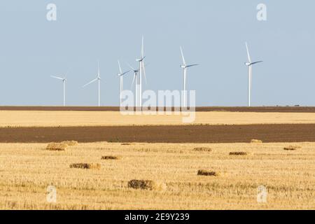 Windturbinen stehen im Roggenfeld mit Heuballen im Vordergrund. Moderne und nachhaltige Landwirtschaft auf schwarzem Boden. Stockfoto