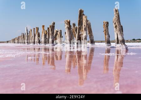 Totes Meer Salzebenen mit Holzsäulen in Salz getaucht. Wasser mit rosa Algen gefärbt. Stockfoto