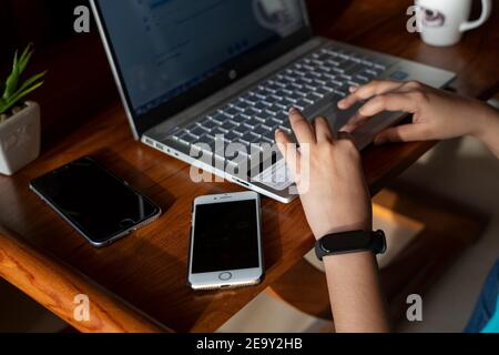 IT-Profi Frau arbeitet von zu Hause aus mit Laptop und Handys Mit einer heißen Tasse Kaffee daneben und einem grünen Anlage Stockfoto