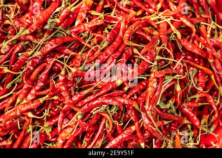 Scharfe rote Paprika oder getrocknete rote, getrocknete Chilischoten Pfeffer auf dem großen Markt und tolles Gemüse mit einem würzigen und heißen Geschmack Stockfoto