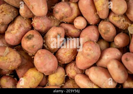 Kartoffeln im Bauerndorf Markt, Lebensmittel Hintergründe und eine Gruppe von braunen und roten frischen Kartoffeln, die eine vertikale Aufnahme ist Stockfoto