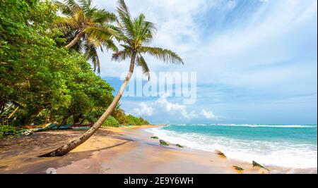 Ein tropisches Paradies idyllischen Strand an der Südwestküste von Sri Lanka Küste in Mirissa. Stockfoto