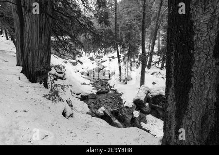 Schwarz-Weiß-Winteransicht des Ice House Canyon Creek in den San Gabriel Mountains in Südkalifornien. Stockfoto