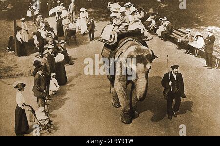 1906 Jumbo der Elefant gibt Elefantenreiten im London Zoo. Dies war nicht der ursprüngliche Jumbo, der am 26. Juni 1865 aus Jardin des Plantes, Paris, in den Zoo kam und sich zu einem der größten Elefanten entwickelt hat, die je gesehen wurden, und vielen Elefanten (und allem, was sehr groß ist) auf der ganzen Welt den Namen Jumbo gab. Der ursprüngliche Jumbo verließ 1882 den Zoo, um sich dem Barnum & Bailey Circus in den USA anzuschließen, wo er für $10.000 aufkam. Er wurde angeblich gefügig gehalten, indem er ihm große Mengen Alkohol gab. Er starb tragisch, wurde von einem Zug getroffen, während der Überquerung einer Eisenbahnstrecke in St. Thomas Kanada in 1885. Stockfoto