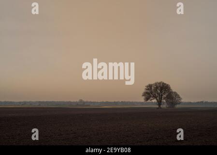 Sahara-Staub in der Atmosphäre sorgt an einem Wintertag in Bayern für diffuses orangefarbenes Licht am Himmel über einer ländlichen Landschaft Stockfoto