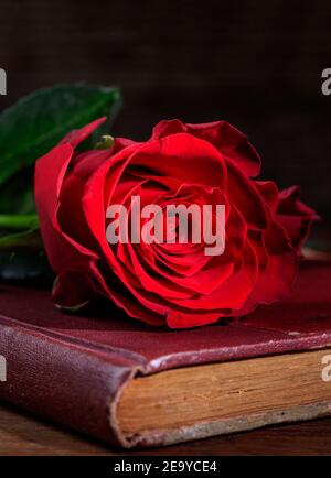 Romantik-Konzept. Rote Rose auf vintage geschlossenen Buch, dunkler Hintergrund. Frische Liebe Symbol Blume auf Hardcover Tagebuch auf Holzschreibtisch. Erinnerung, Erwartung, su Stockfoto