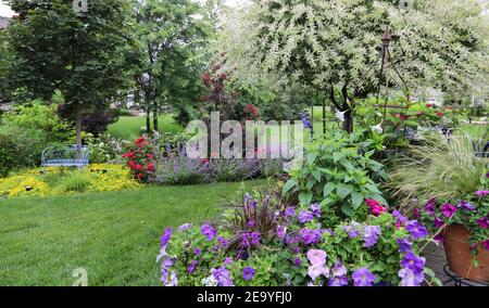 Magische japanische Weiden Zierbäume in einem Sommergarten umgeben von einer Rosen, Karl Foerster Feather Reed Gras, Minze, Federgras in Chicago Stockfoto